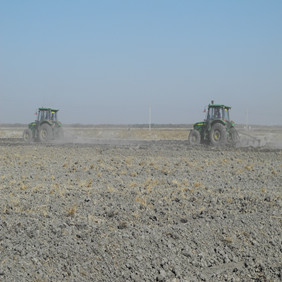 鹽堿地改良種植水稻—2012年吉林白城鎮(zhèn)賚縣鹽堿地種植水稻（開荒、打井、插秧、生長(zhǎng)和成熟全過程記錄）(圖5)